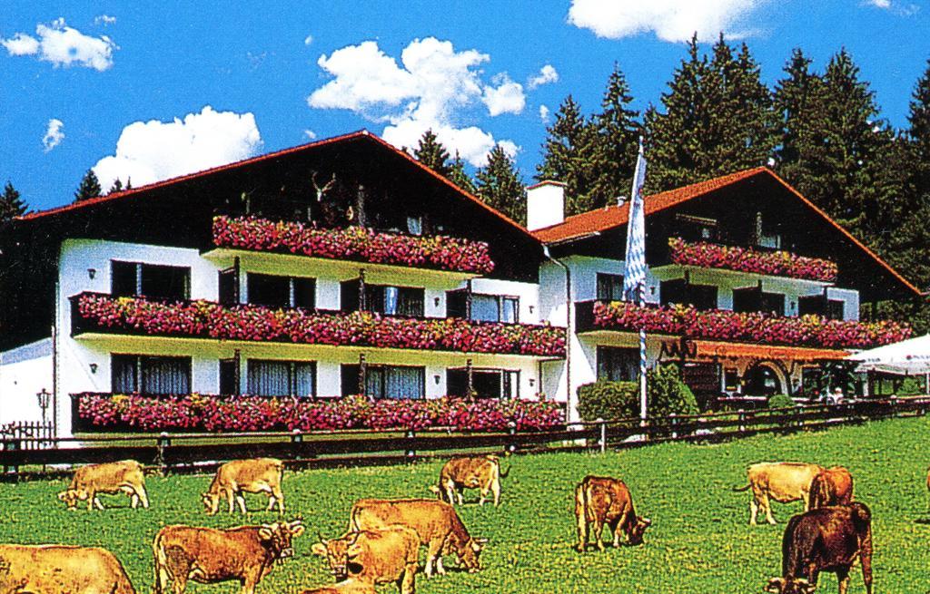 Farchanter Alm Экстерьер фото